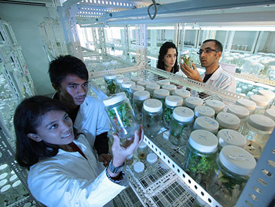 scientists greenhouse