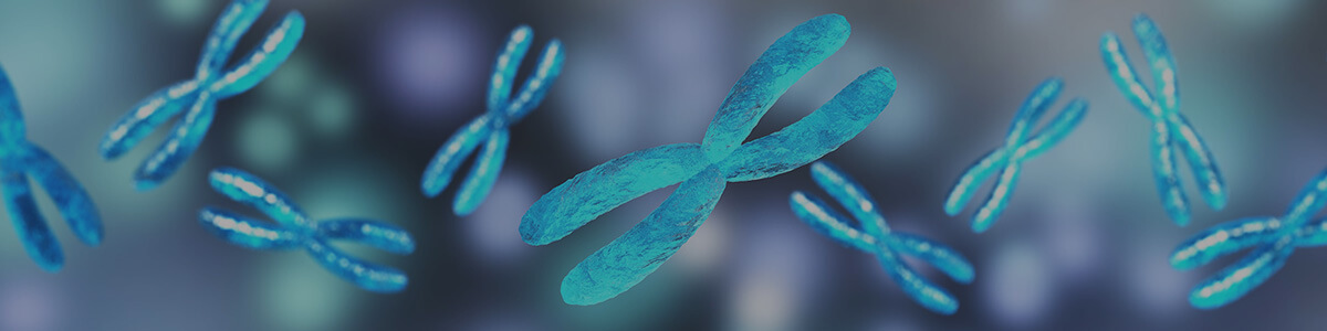 chromosomes and biological sex