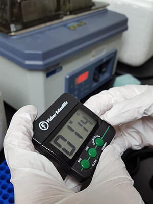 rate of a chemical reaction