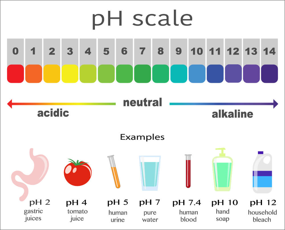 acids bases and ph lesson contents