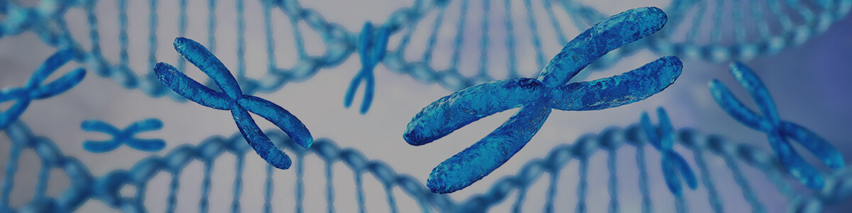 from dna to phenotype online science course