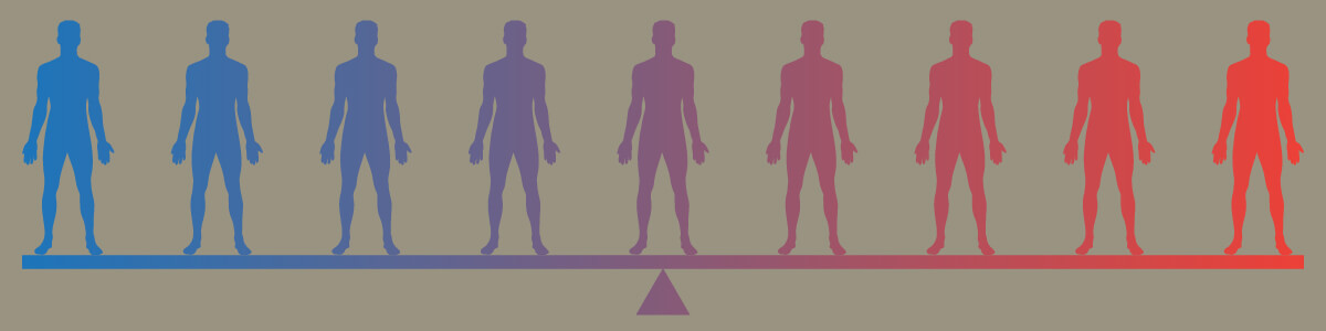 homeostasis lesson