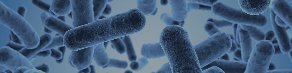 microorganisms and disease lesson