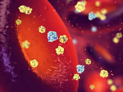 hormones in bloodstream