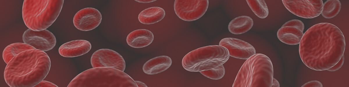 cells online science lesson
