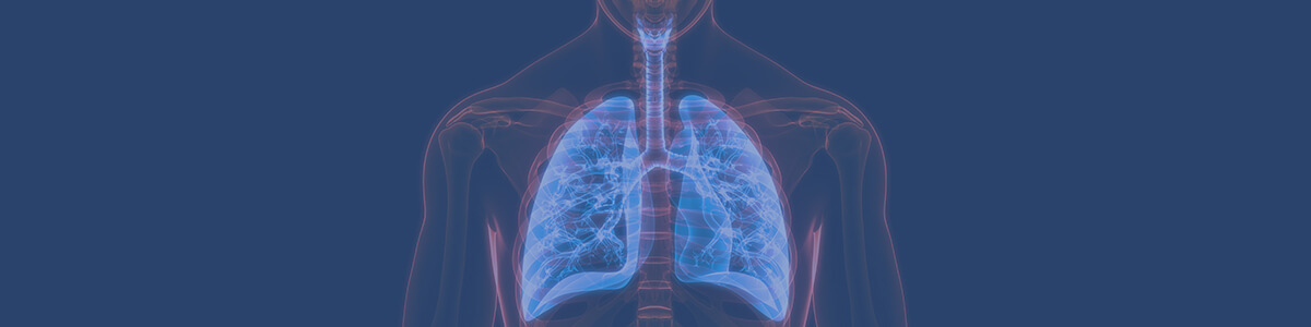 the respiratory system lesson