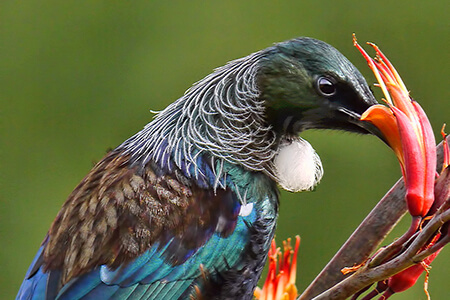 introduction to ecology lesson contents