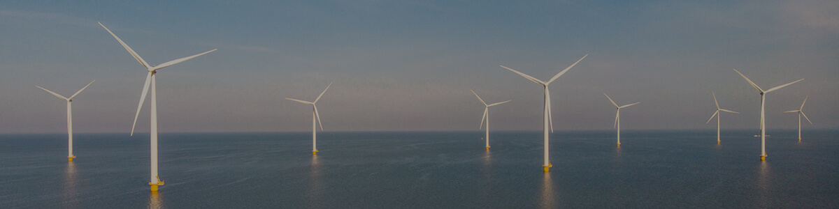 renewable and non-renewable energy lesson