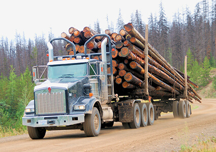 renewable resource forestry