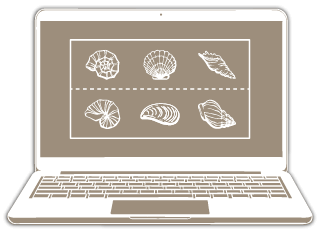fossils and geological history online earth science course