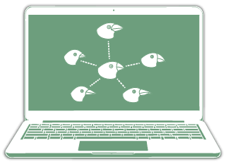 genetic change and evolution online science biology course