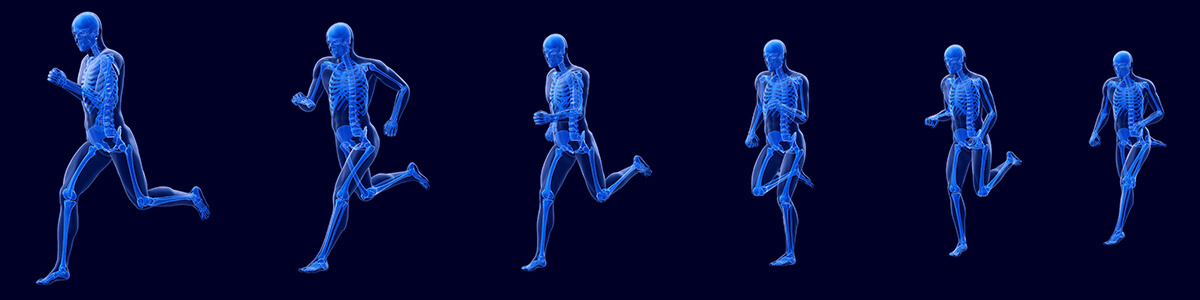 human body systems online science course