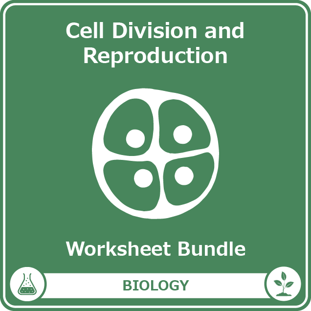 cell division and reproduction worksheet bundle