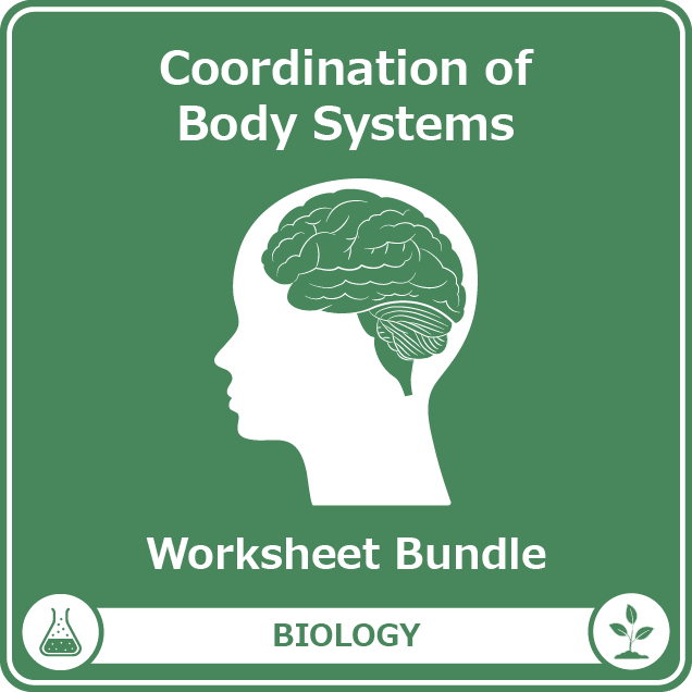 coordination of body systems worksheet bundle