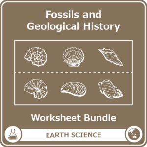 fossils and geological history worksheet bundle