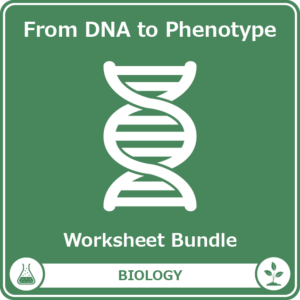 from dna to phenotype worksheet bundle