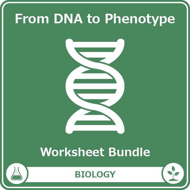 from dna to phenotype worksheet bundle