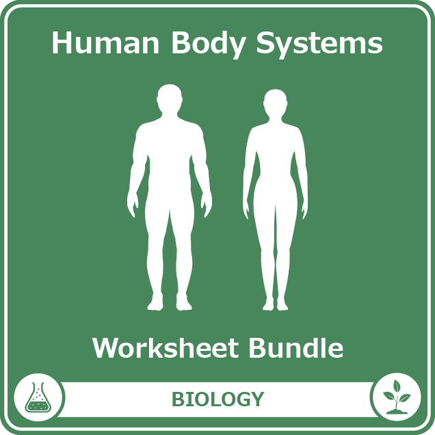 human body systems worksheet bundle